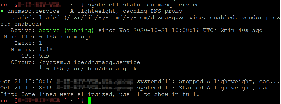 dnsmasq status